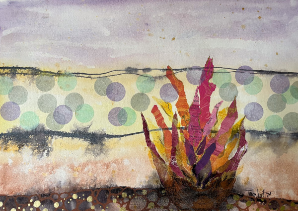 You've Come A Long Way To Belong Here by Tracey Hewitt