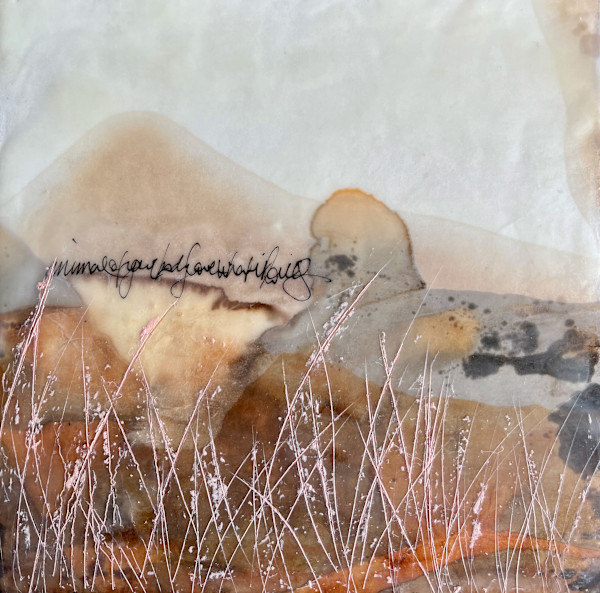 Where The Spinifex Watches by Tracey Hewitt