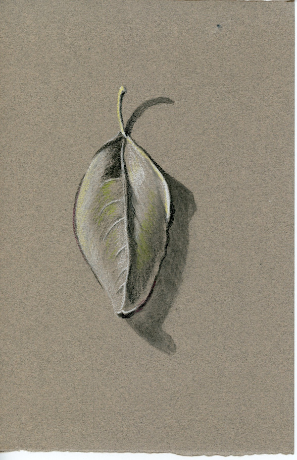 Untitled Leaf Drawing by Patricia Vinyard, Image 1.