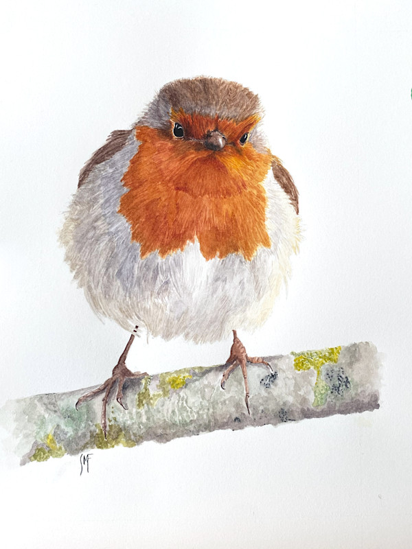 A Saucy Robin by Susannah Fisher