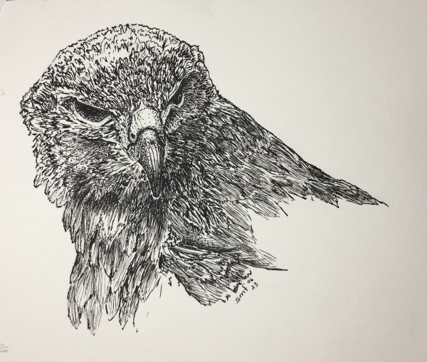 Big Red by Susannah Fisher