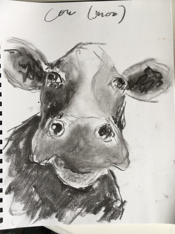 Charcoal Cows (Right) by Jennifer Hooley