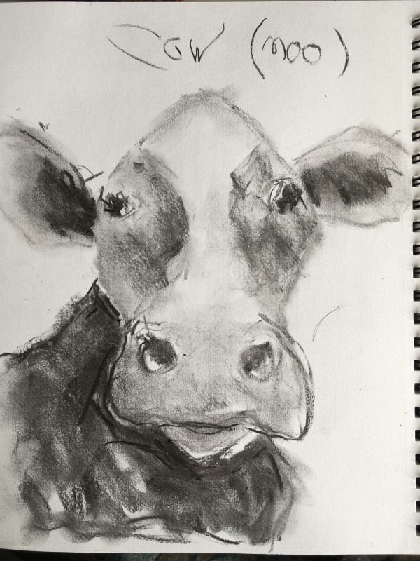 Charcoal Cows (Left) by Jennifer Hooley