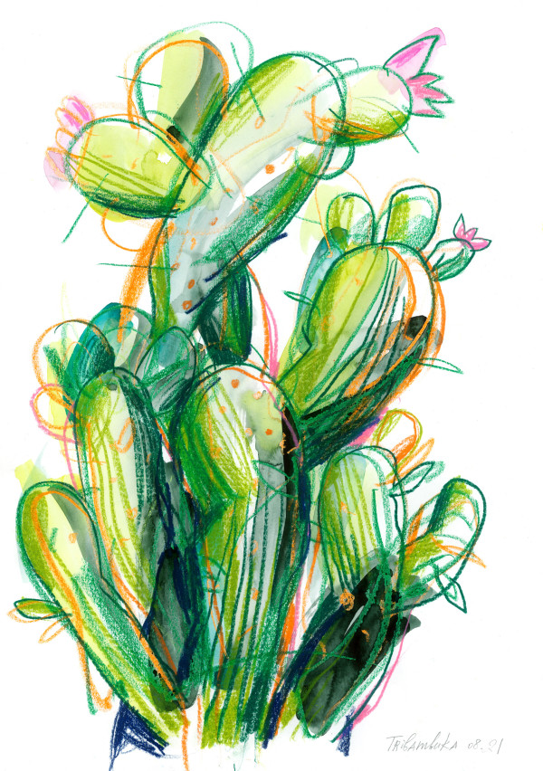 Cacti in Bloom by Tribambuka