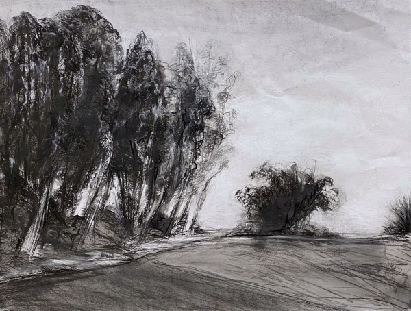Close to Home 3 by Amanda van Gils