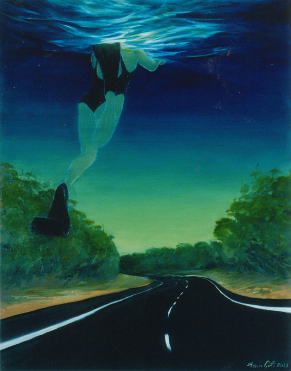 Near Home by Amanda van Gils