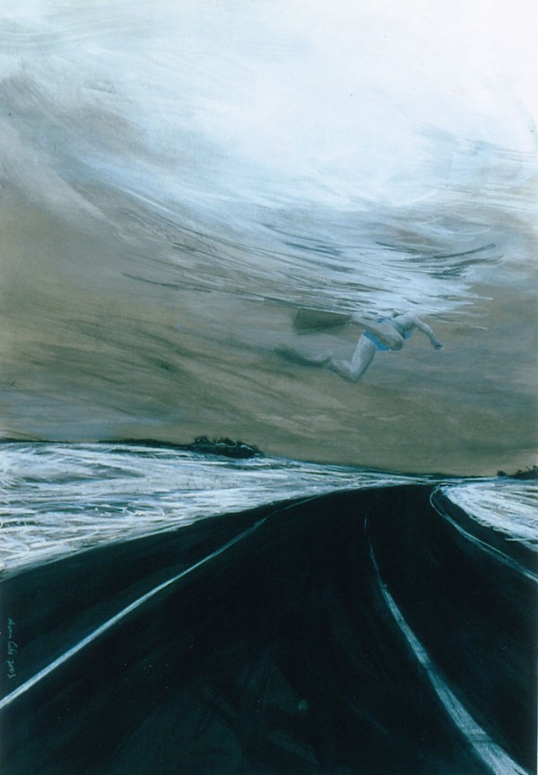 Mid flight by Amanda van Gils
