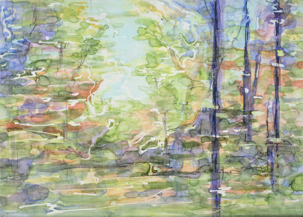 Queensland Bushland by Amanda van Gils