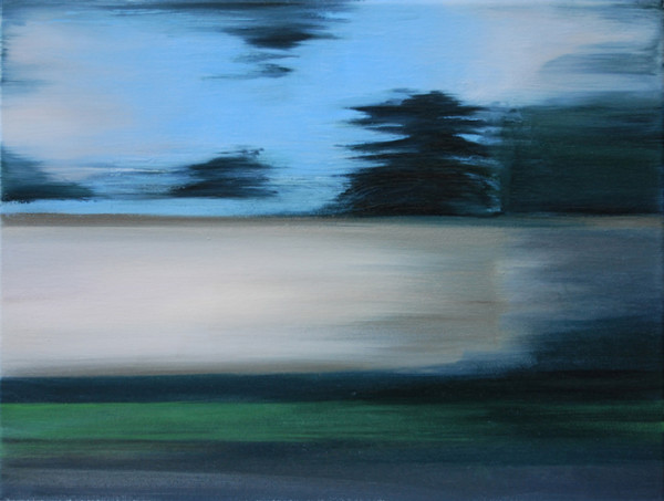 vfast-Monte Carlo by Amanda van Gils