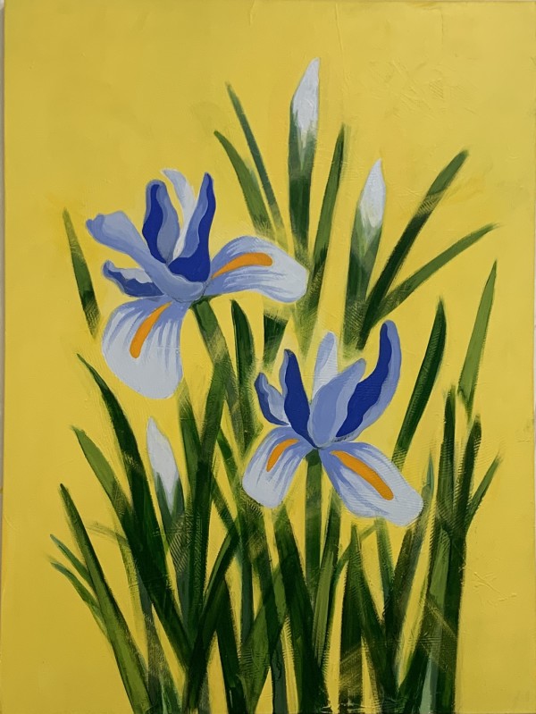 Iris Blooms by Ann Flemings | FlemingsArt.com