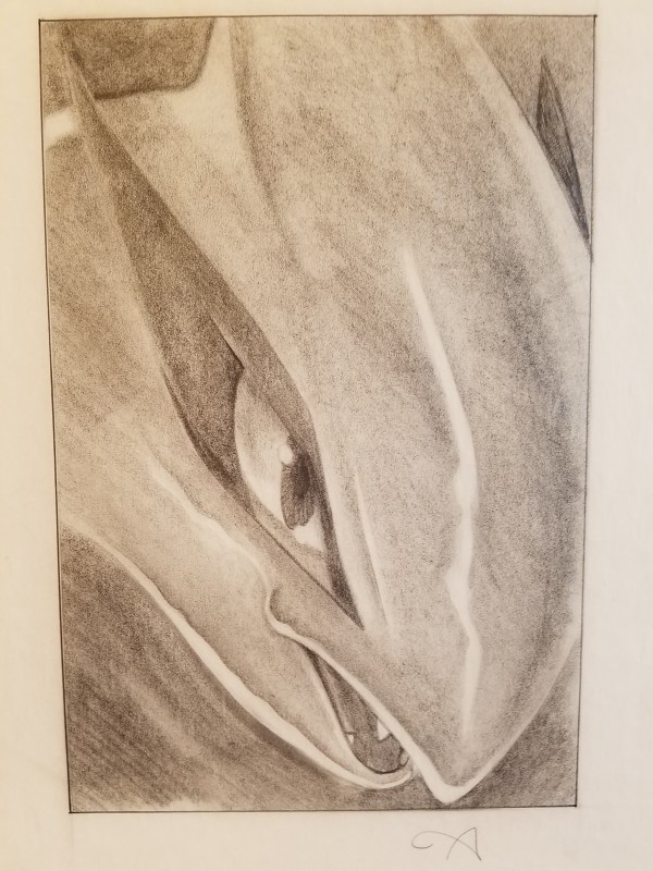 Pokemon The Movie 2000 Poster Concept, Lugia Close Up