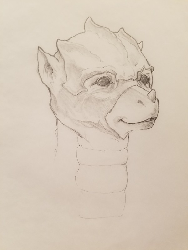The Dragon Princess Sketch, Baby Dragon Head Sketch 2 by John Alvin, Image 1.
