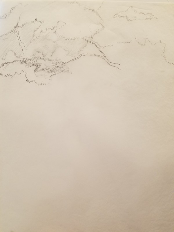 Arachnophobia Poster Concept, Trees