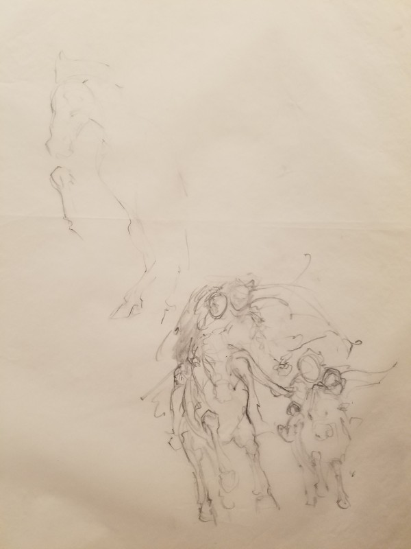 Willow Poster Concept, Horse and Riding Studies