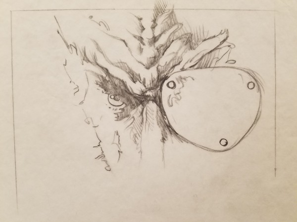 Star Trek VI The Undiscovered Country Poster Concept, Close Up