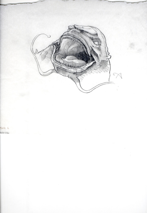 Star Wars Concept Art for Hasbro Board Game Opee Sea Killer Head