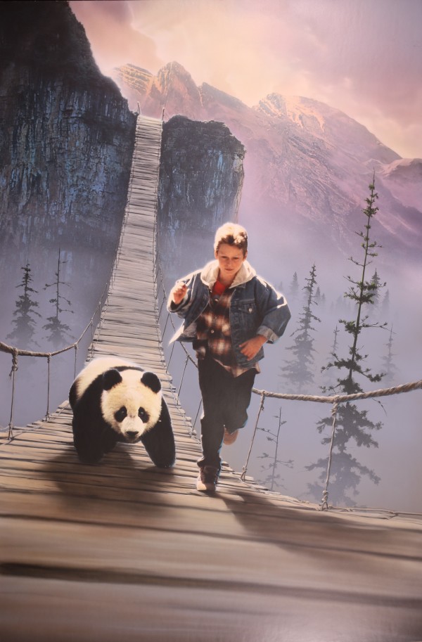 The Amazing Panda Adventure Key Art
