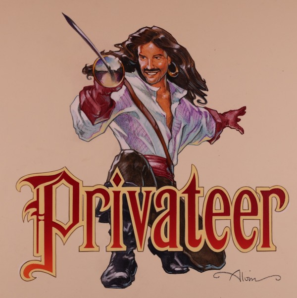 Virtual World Video Game Key Art, Privateer, Privateer