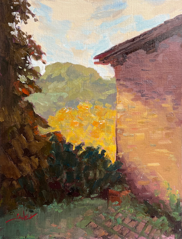 Lights Threshold by Janea Spillers