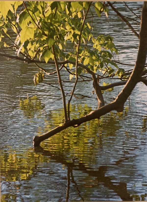 Springtime, Baton Rouge Lakes (21) by Libby Falk Jones