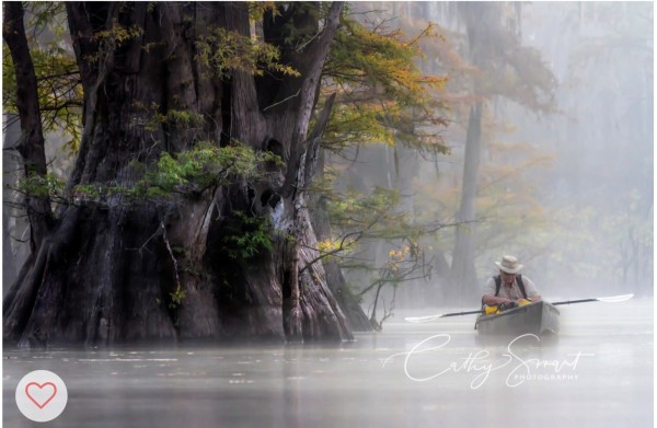 (37) Peaceful Morning in the Bayou by Cathy Smart