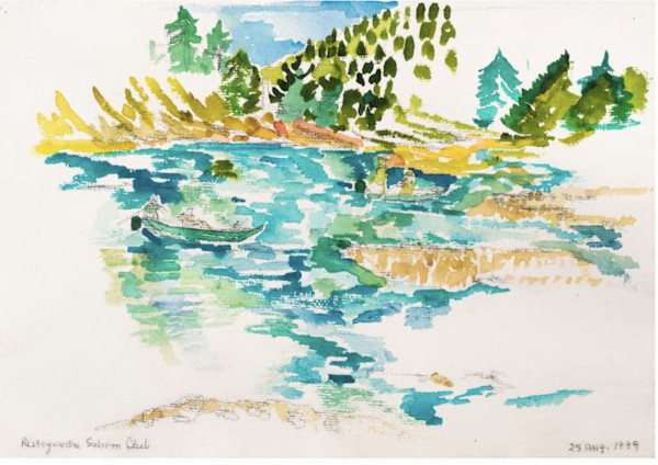 Salmon Club in Aqua by Mari Lyons
