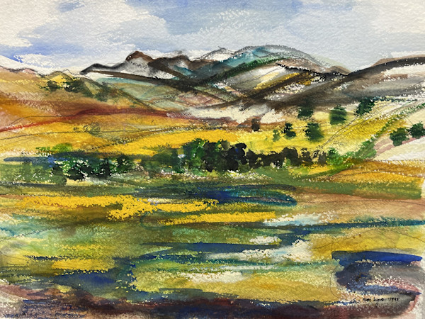 Six Peaks From Field by Mari Lyons