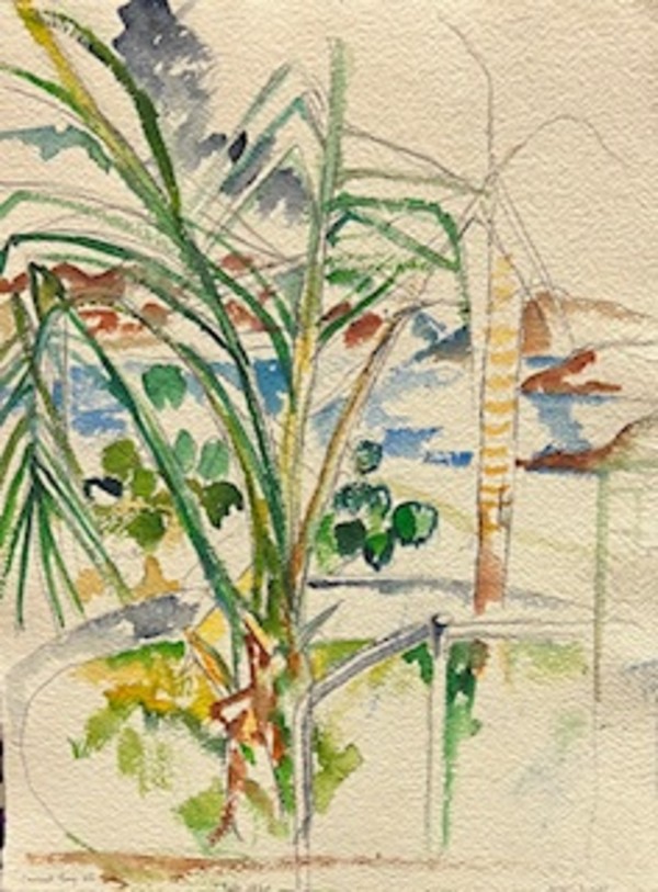 Caneel Bay Palm by Mari Lyons