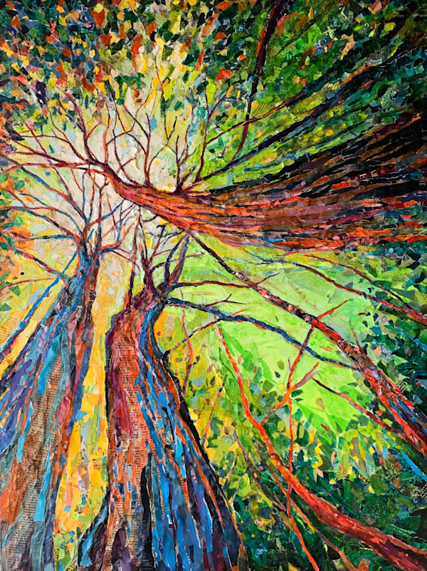 Trees in the Garden of Good and Evil by Keith Morris
