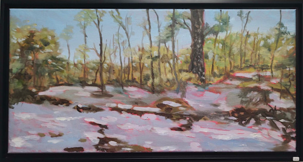 Snowfall in Louisiana by David Boucher