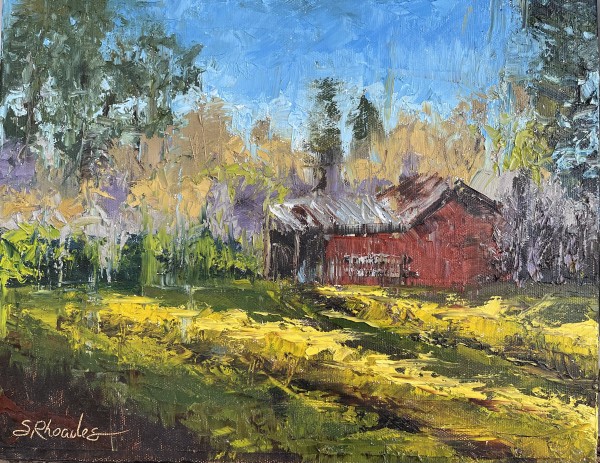 Red Shed by Stacey Rhoades