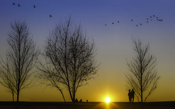Silhouettes at Sunset by David M. Kors