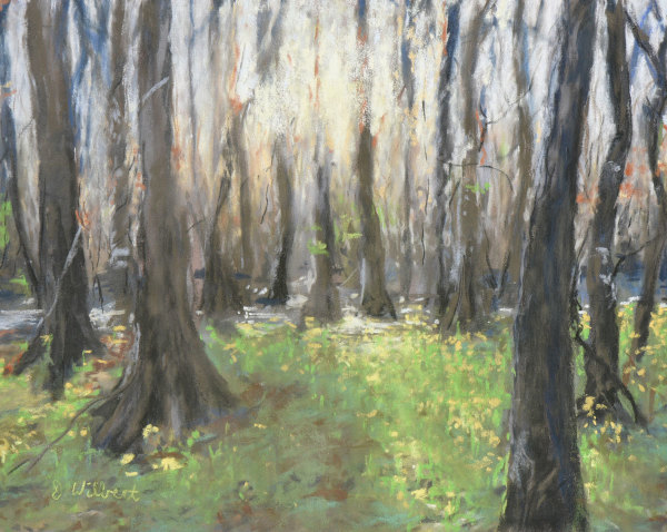Swamp Glow by Debora (Dee Dee) Wilbert