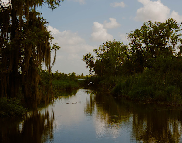 Bayou Bird by Lindsey Chambley