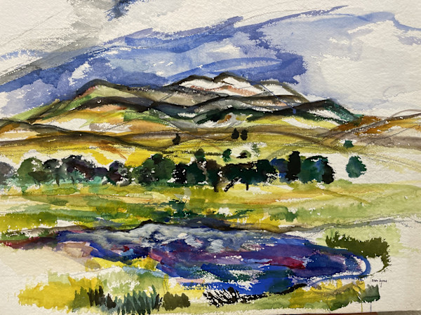 Pond Out Back by Mari Lyons