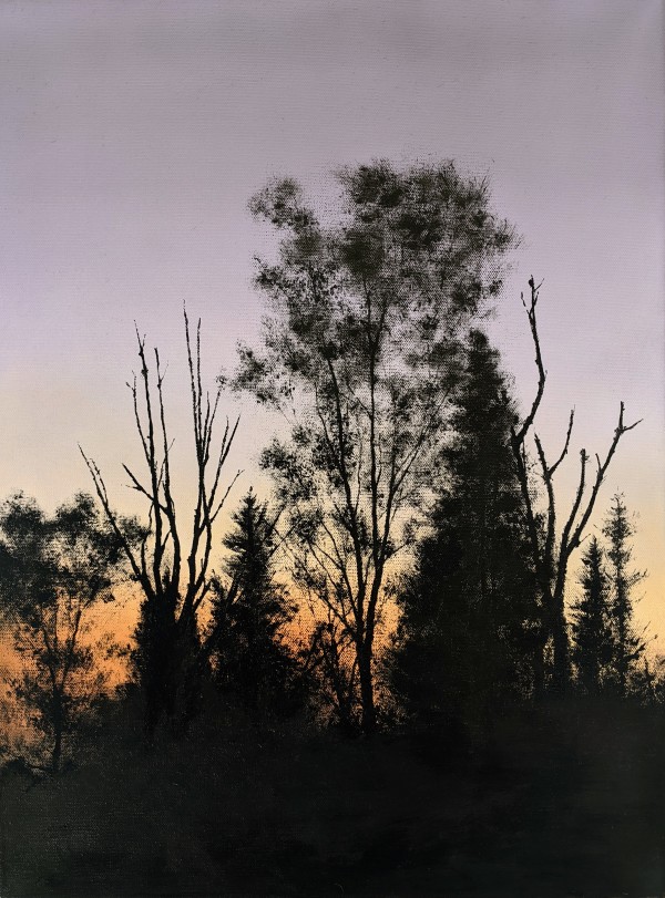 Silhouette against Twilight by Abdul Khaliq Ansari