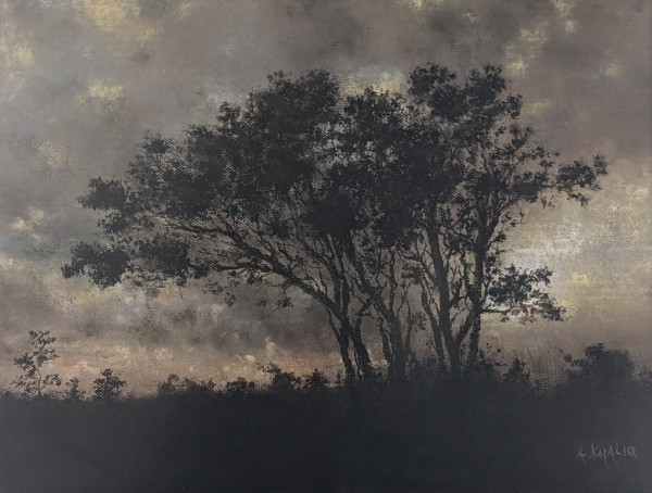 Silhouette at Dusk by Abdul Khaliq Ansari