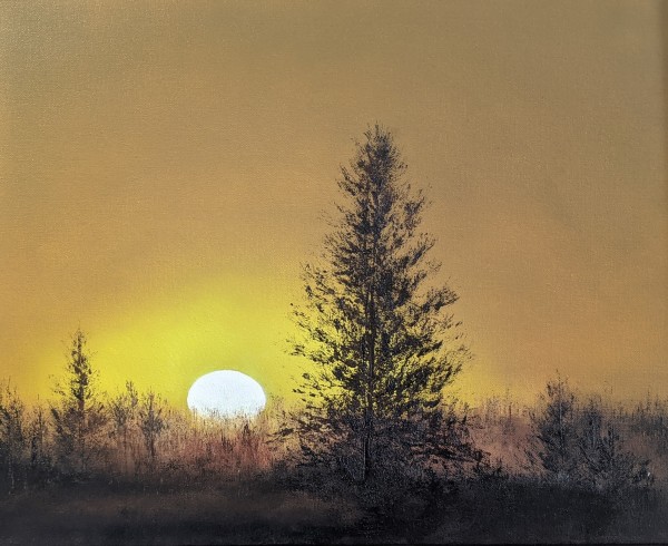 Spruce at Dawn by Abdul Khaliq Ansari