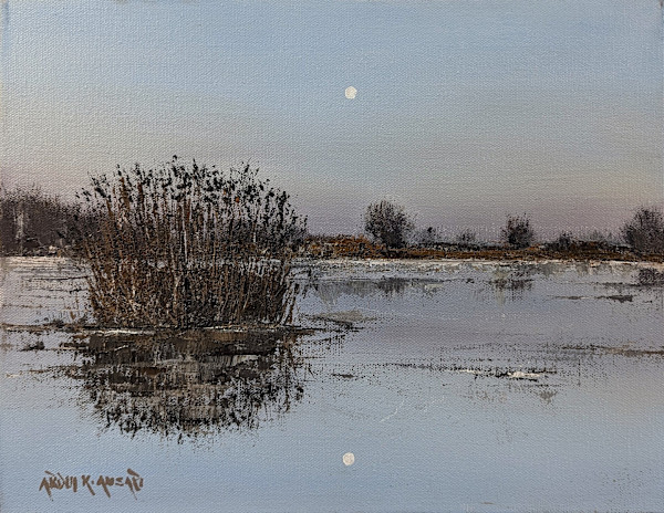 Icy Pond by Abdul Khaliq Ansari