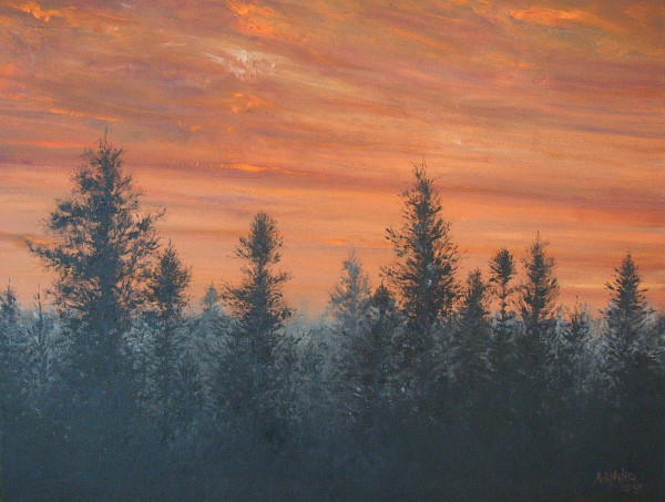 Sunset across Spruce Trees by Abdul Khaliq Ansari