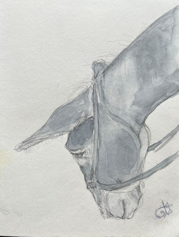 The_Donkey II by Eman Tarek