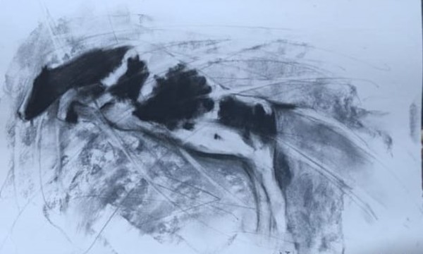 Cows 3  paintings (Set of 3, sold separately) by Ahmed Fawzi Emara
