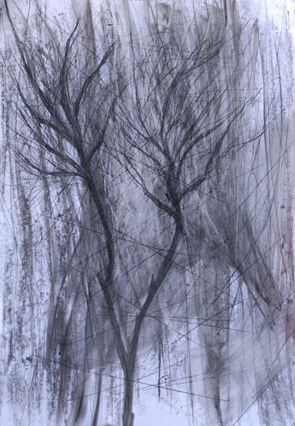 Untitled_FA03 by Ahmed Fawzi Emara, Image 19.