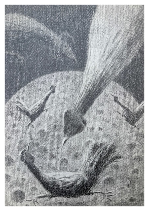 Untitled_MR15 by Mahmoud Ragab, Image 1.