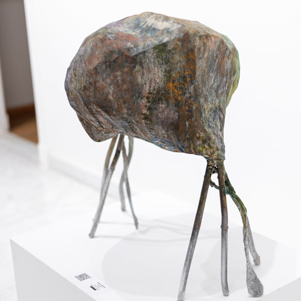 Jelly Fish 1 by Shams Bassem