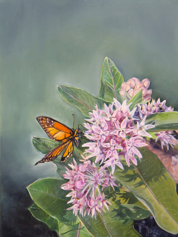 Fancy Milkweed and a Monarch Butterfly by Nila Jane Autry