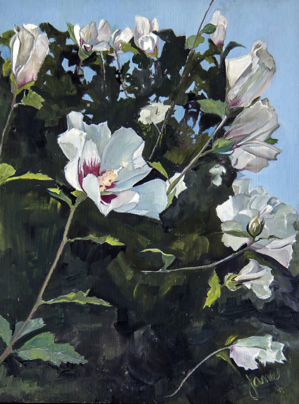 Rose of Sharon by Nila Jane Autry