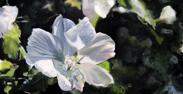 The White Rose of Sharon by Nila Jane Autry