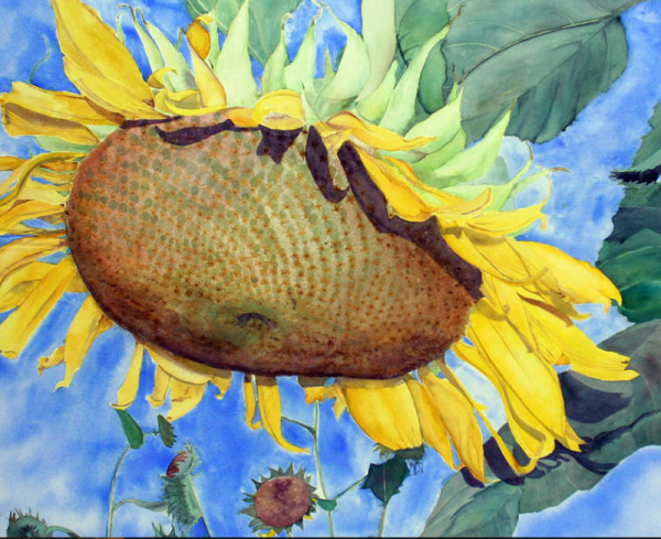 The Golden Years by Nila Jane Autry