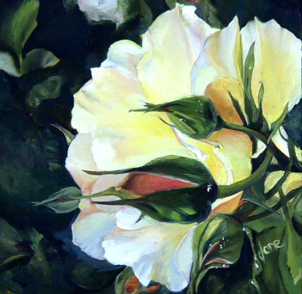 Yellow Rose - Friendship by Nila Jane Autry